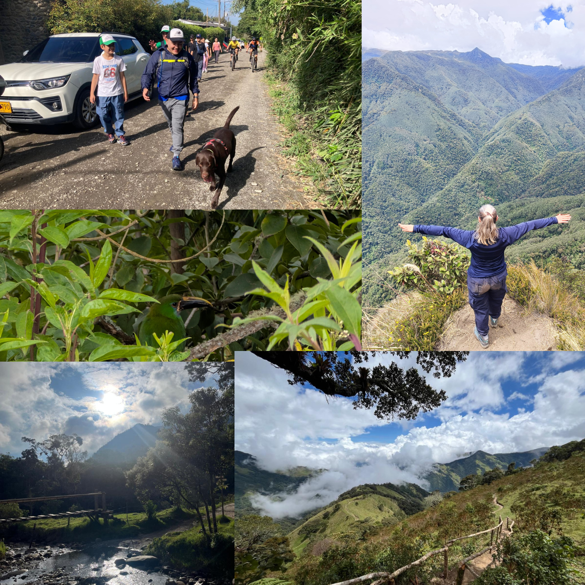Caminatas ecologicas Audifarma.png